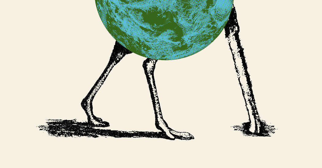 What if the Coronavirus Crisis Was Just a Trial Run? 1