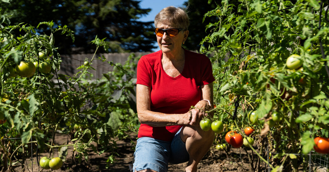 Some Healthy Americans Seek Coronavirus Booster Shots Before
Approval 1