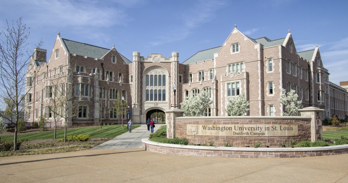 College student puts nearly 3,000 U.S. flags from 9/11
display into trash bags in protest 1 College student puts nearly 3,000 U.S. flags from 9/11
display into trash bags in protest 1