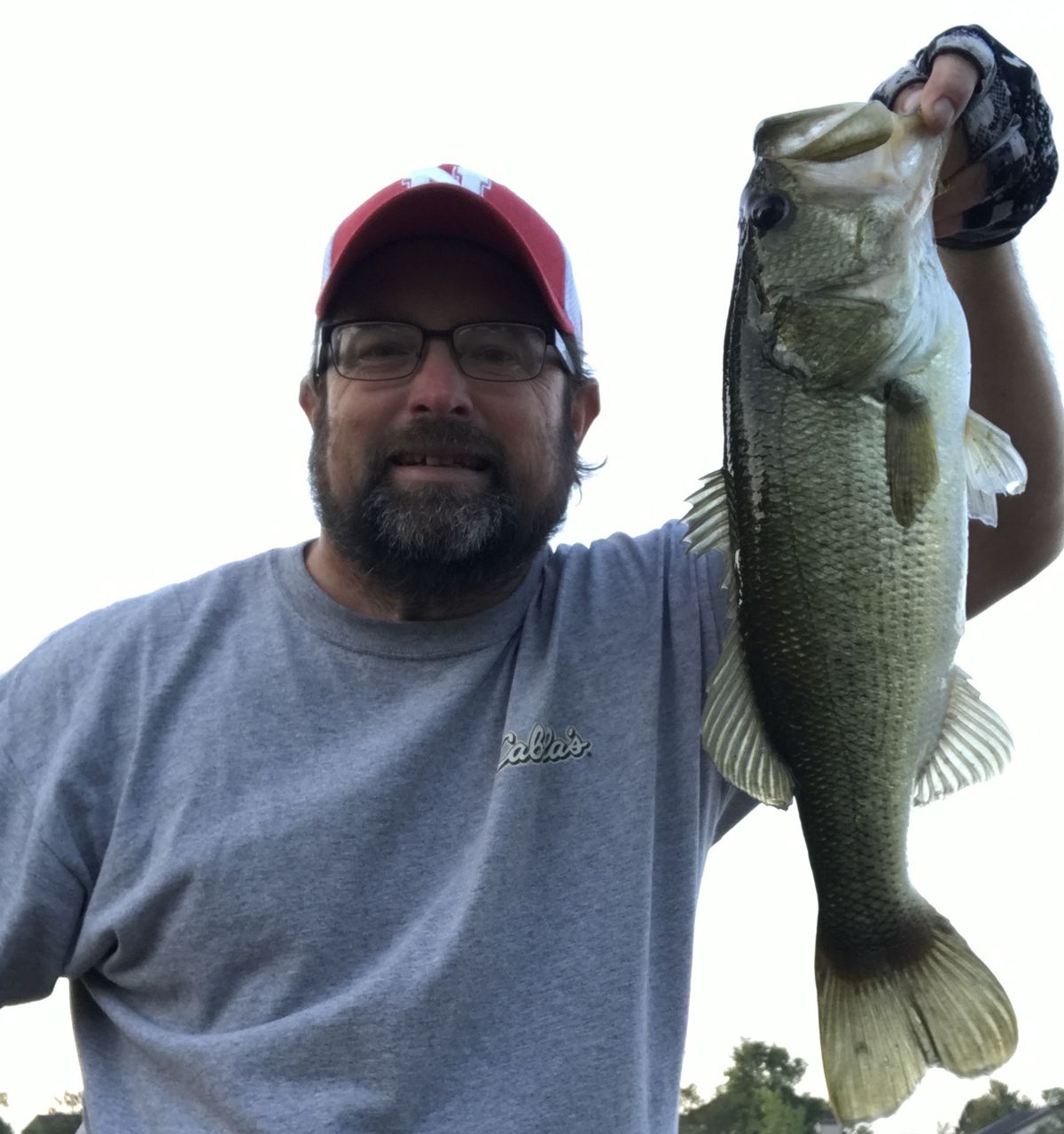 Chicago fishing, Midwest Fishing Report: Lakefront Chinook,
closing dates, snagging to open, C&R trout 1