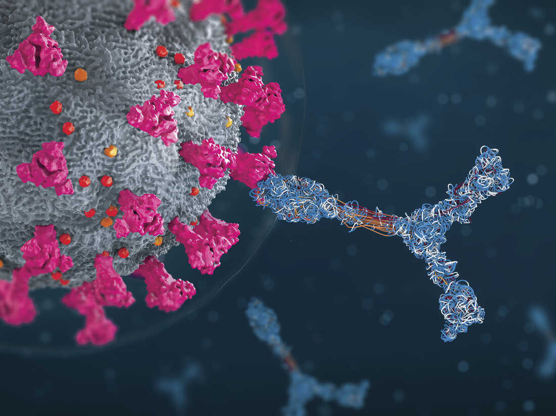 New Studies Find Evidence Of 'Superhuman' Immunity To
COVID-19 In Some Individuals 1
