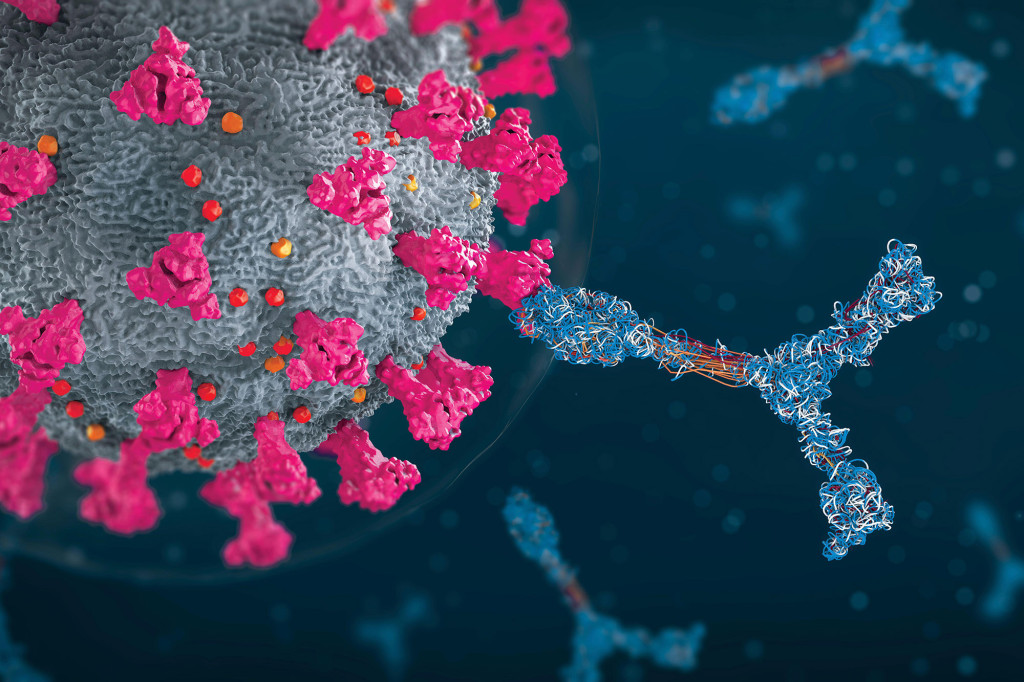 Having COVID-19 and vaccine may give some ‘superhuman
immunity’: study 1