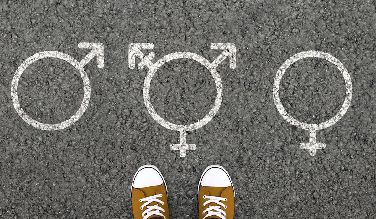 Teachers to ask court to halt Loudoun County schools'
pronoun policy 1