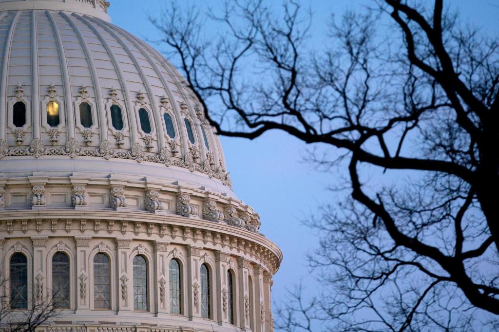 US Capitol Police officer attacked by woman carrying
baseball bat 1