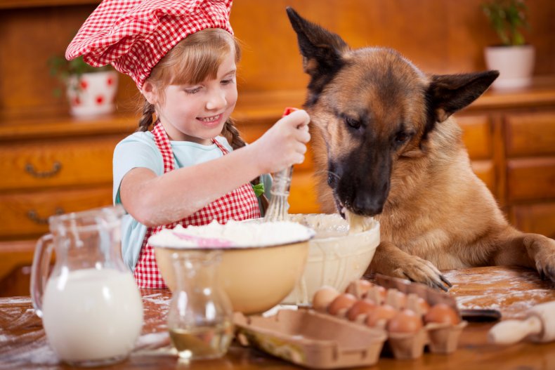 9-Year-Old Girl Opens 'Barkery' For Dog Treats to Raise
Money For Local Animal Shelter 1