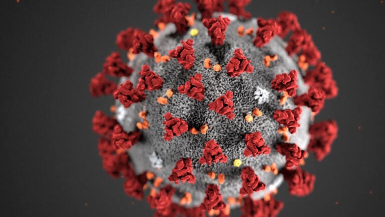 The coronavirus is still mutating. But will that
matter? 1