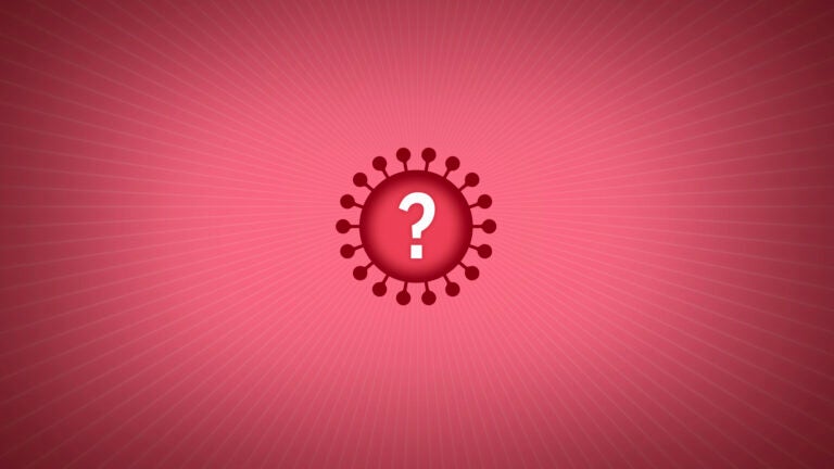 What is the 'delta plus' variant of the coronavirus? 1