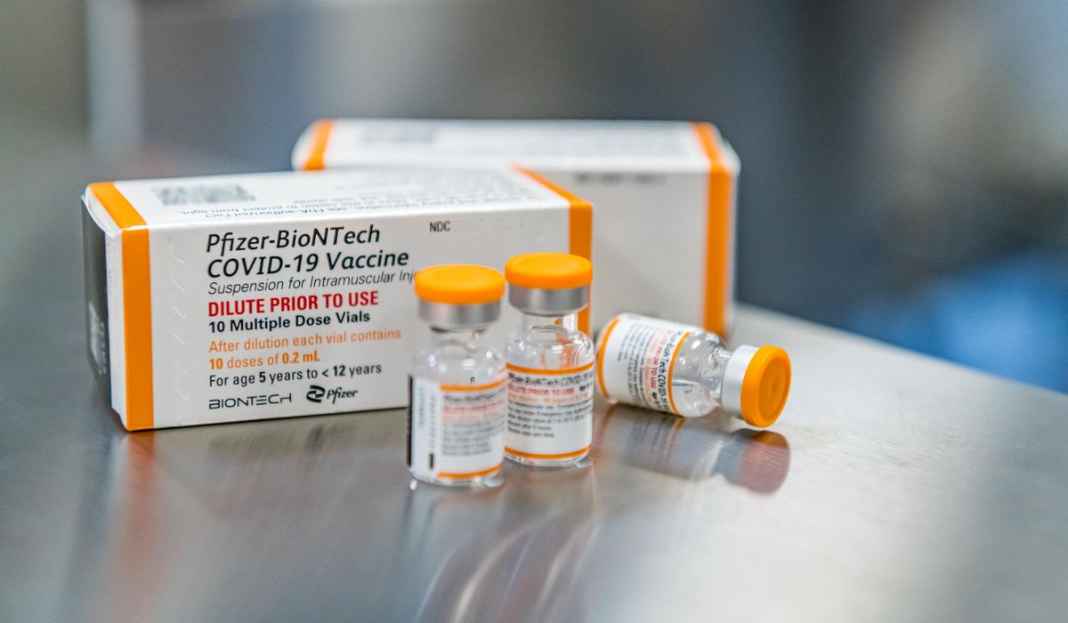 FDA paves way for Pfizer COVID-19 vaccinations in young
kids 1