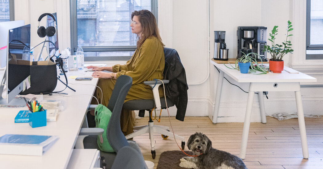 The Worst of Both Worlds: Zooming From the Office 1