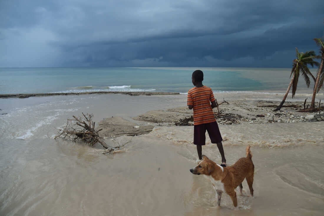 New coronavirus, likely from dogs, infects people in
Malaysia and Haiti 1