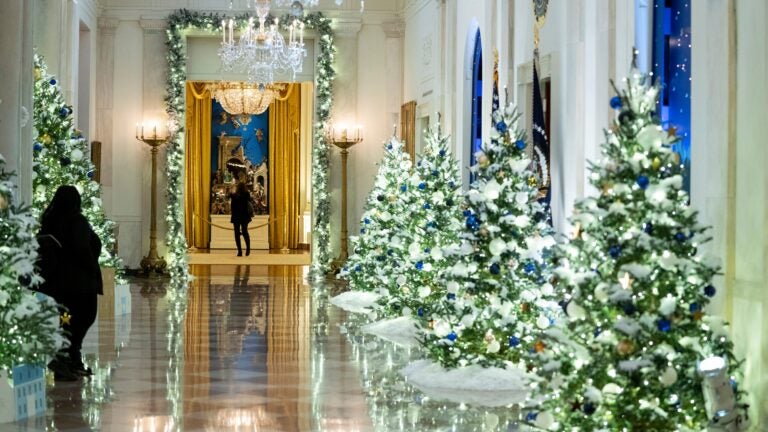 White House holiday decor honors COVID-19 frontline
workers 1
