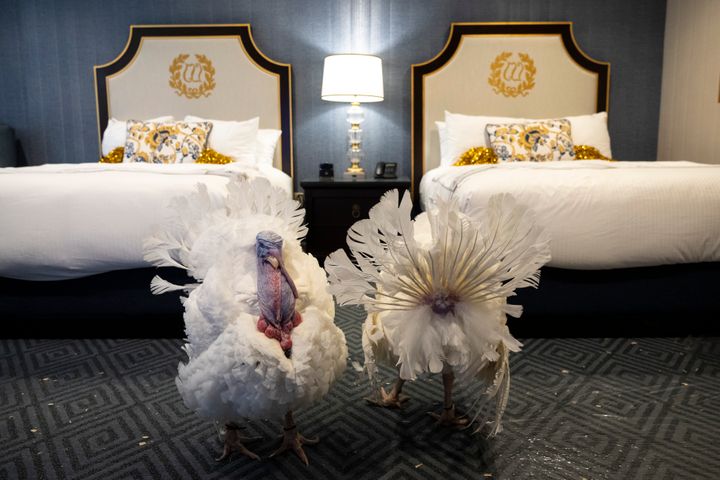 Biden Pardons 2 Turkeys Named After Classic Food Combo Ahead
Of Thanksgiving 1