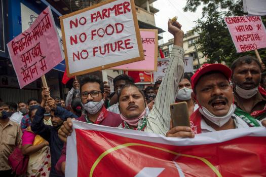 Modi vows to repeal India farm laws after prolonged
protests 1