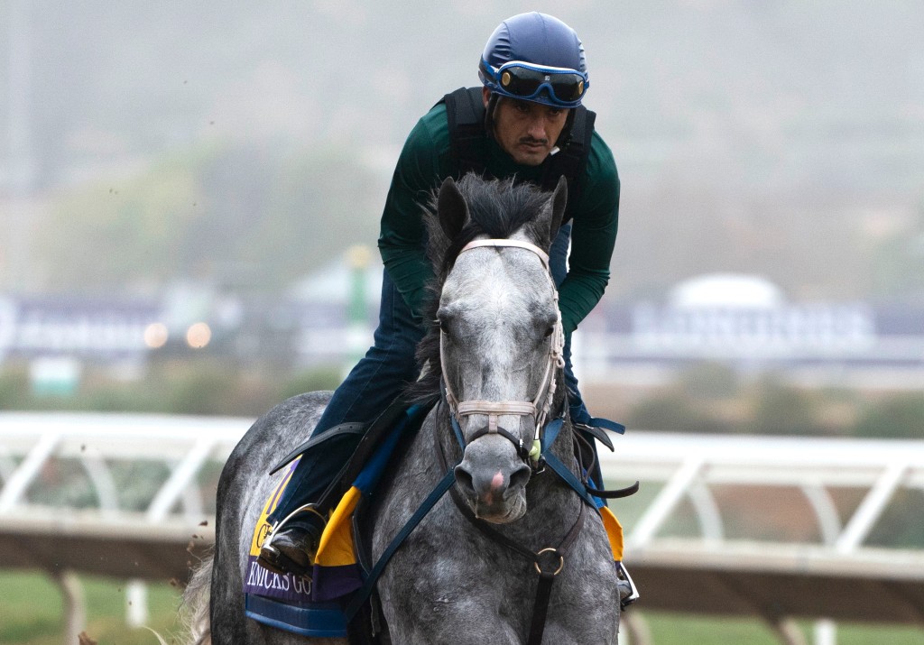 Breeders’ Cup Classic: Knicks Go, Essential Quality the
picks 1