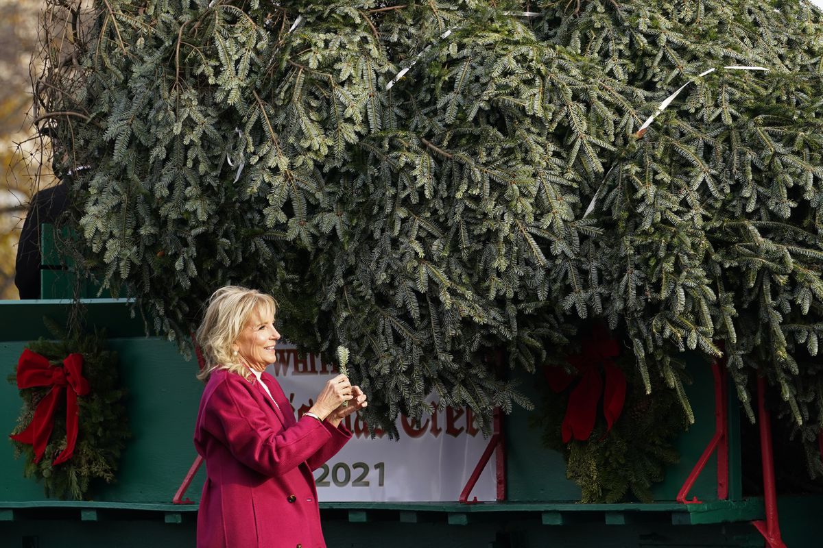 Bidens open holidays with Christmas tree and
‘friendsgiving’ 1 Bidens open holidays with Christmas tree and
‘friendsgiving’ 1