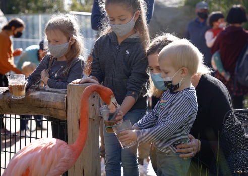 Revamped Palo Alto Junior Museum and Zoo opens to the
public 1