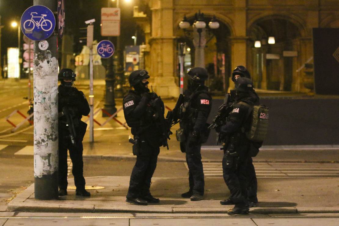 'You Will Not Leave': Austria Returns to Lockdowns 1