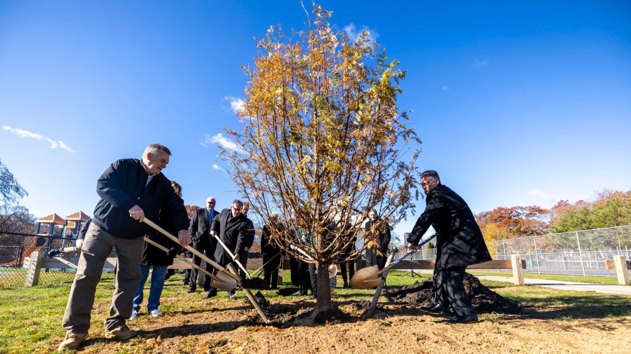 Smithtown honors town residents felled by COVID-19 with a
Redwood tree memorial 1