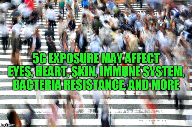 Company Introduces Device that “empowers the innovation of a
new breed of 5G NR open small cell products” 1