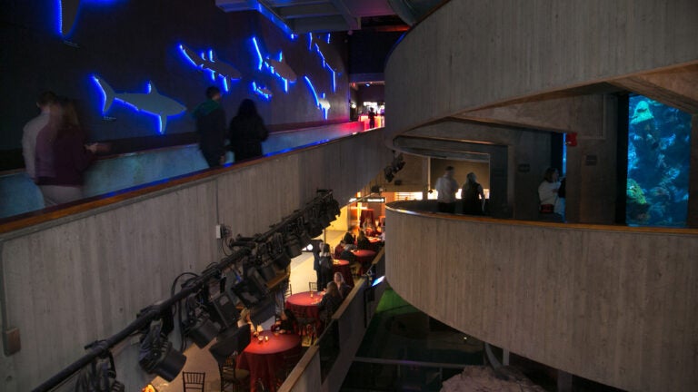 Navigating the office holiday party 1