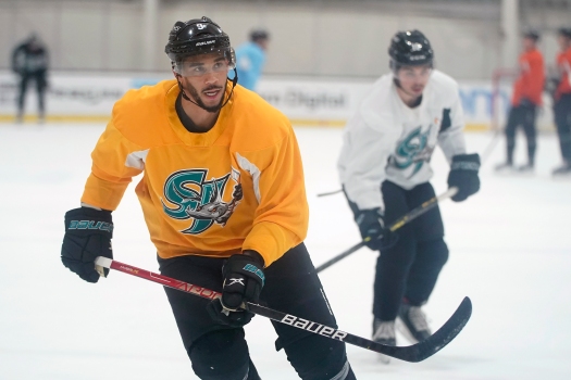 Evander Kane among Barracuda players in AHL COVID-19
protocol 1