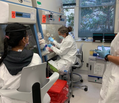 Will we be protected from COVID-19’s omicron variant? Bay
Area researchers sprint to find out 1