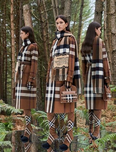 The Cashmere Scarf: A Classic and Timeless Gift for a Chic
Holiday 1
