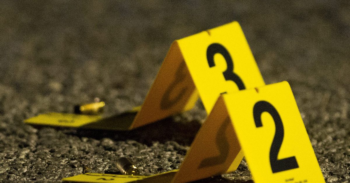Off-duty Chicago police officer taken into custody after
woman found fatally shot in Galewood home 1