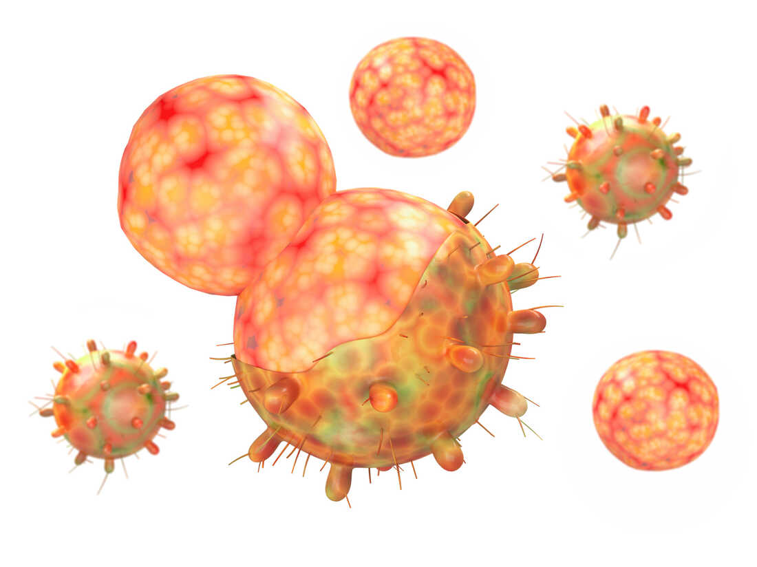 Coronavirus FAQ: Help me with omicron vocab. What's immune
evasion? Epistasis? 1