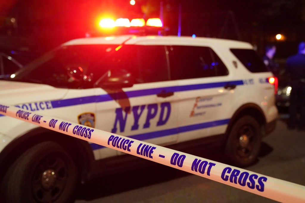 Off-duty probation officer choked NYPD cop attempting to
arrest her son 1
