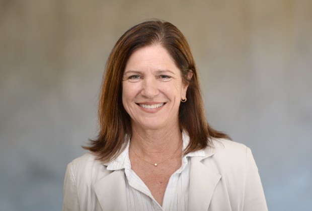 Mill Valley schools trustee accused of calling colleagues
‘idiots’ 1