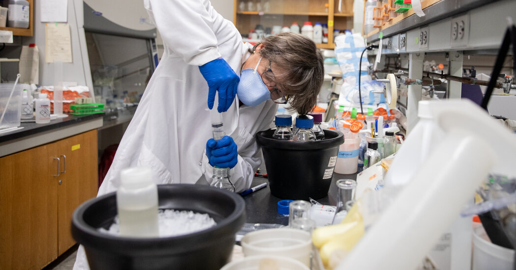 In New York City Sewage, a Mysterious Coronavirus
Signal 1