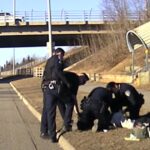Dash camera video shows Anchorage police officers fatally
shooting man 14