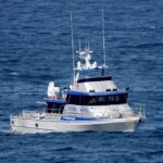 Beaches to reopen as Sydney hunts for shark behind first
fatal attack in almost 60 years 13