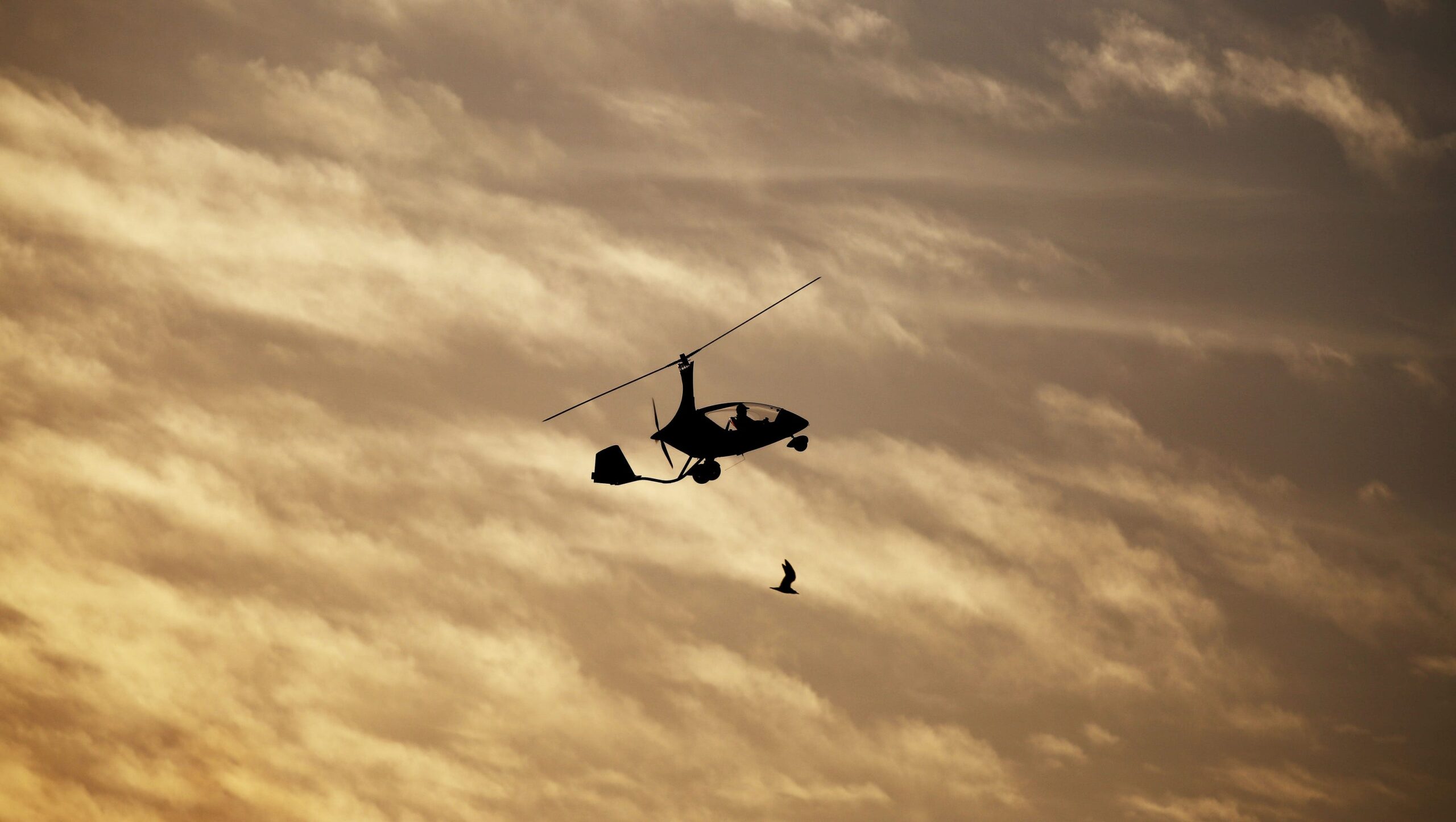 Houston skydiving instructor dies after jump with student
when parachute didn't open 1