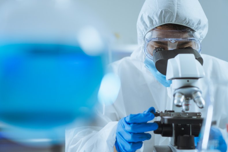 What We Know About NeoCoV Coronavirus Found in Bats 1