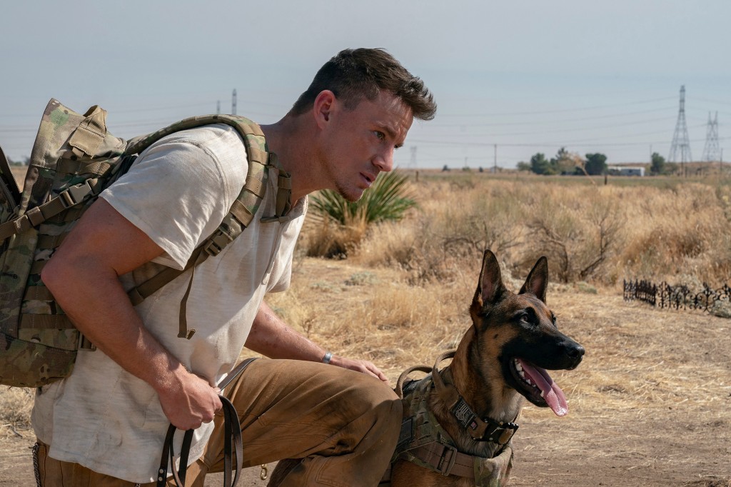Movies ‘Uncharted’ and ‘Dog’ top box office on opening
night 1