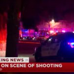 Four shot, one killed in mass shooting at protest march in
Portland 15
