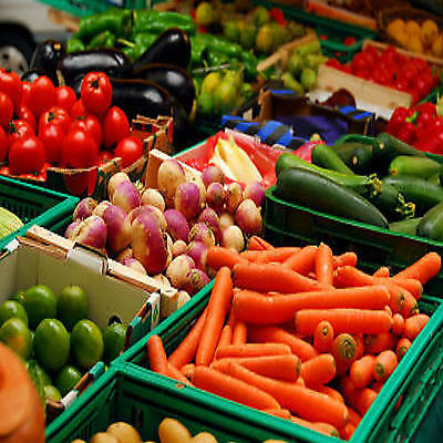 Essential Survival Kit Heirloom Non GMO Vegetable Seed Bank FAST FREE SHIP USA