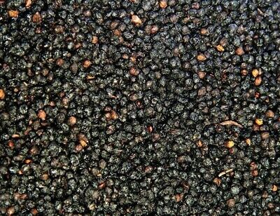 Elderberry Whole Dried Premium / 1 oz to 2 lb / Sambucus Nigra