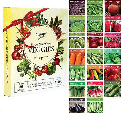 Vegetable seed kit with 20 varieties Over 8,000 seeds seed bank seed vault 20 S